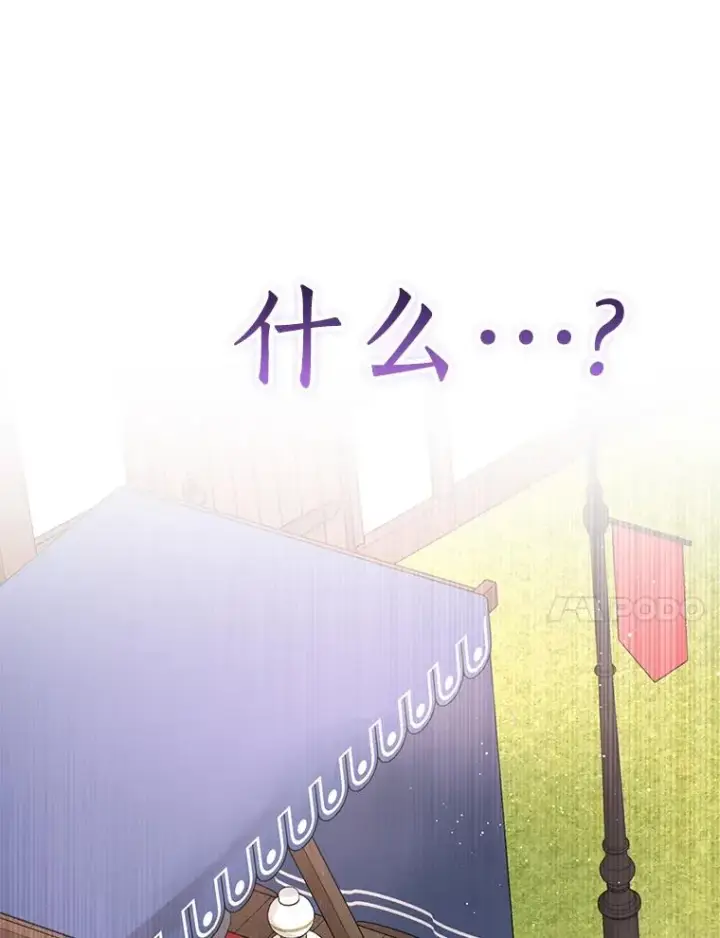 《私生公主的第十次人生》70.参加庆典图126