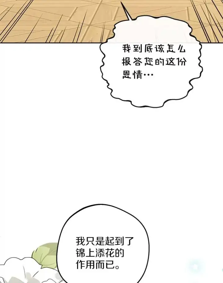 《私生公主的第十次人生》70.参加庆典图26