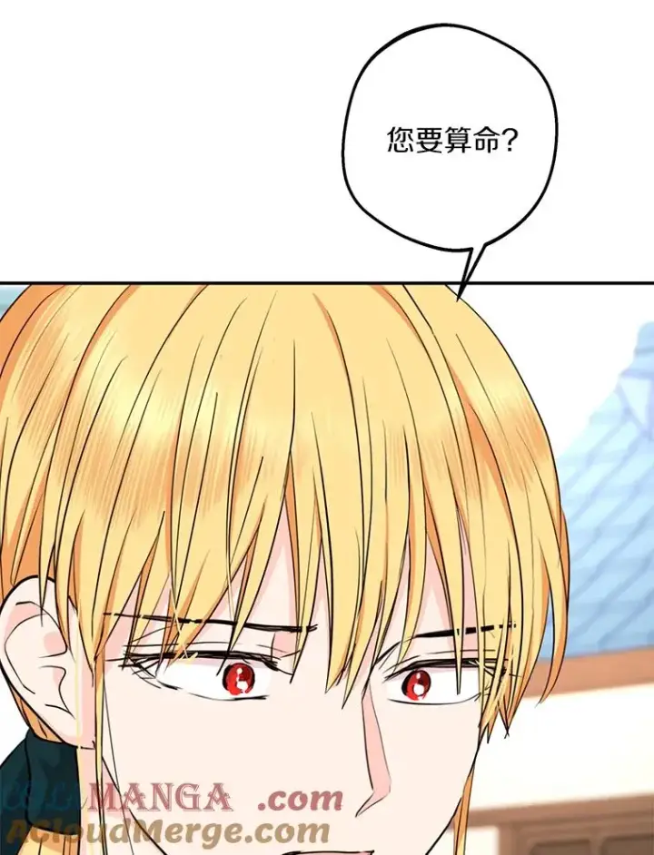 《私生公主的第十次人生》71.算命图13