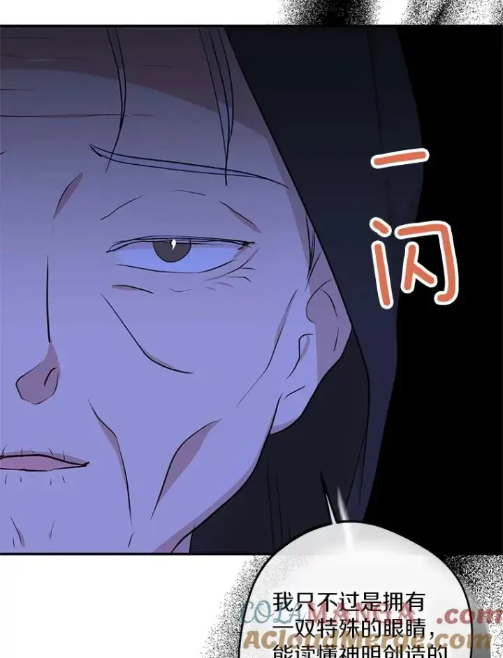 《私生公主的第十次人生》71.算命图17
