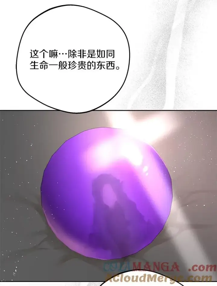 《私生公主的第十次人生》71.算命图33