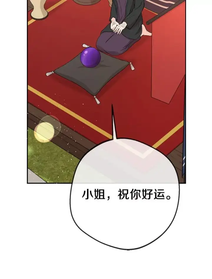 《私生公主的第十次人生》71.算命图38