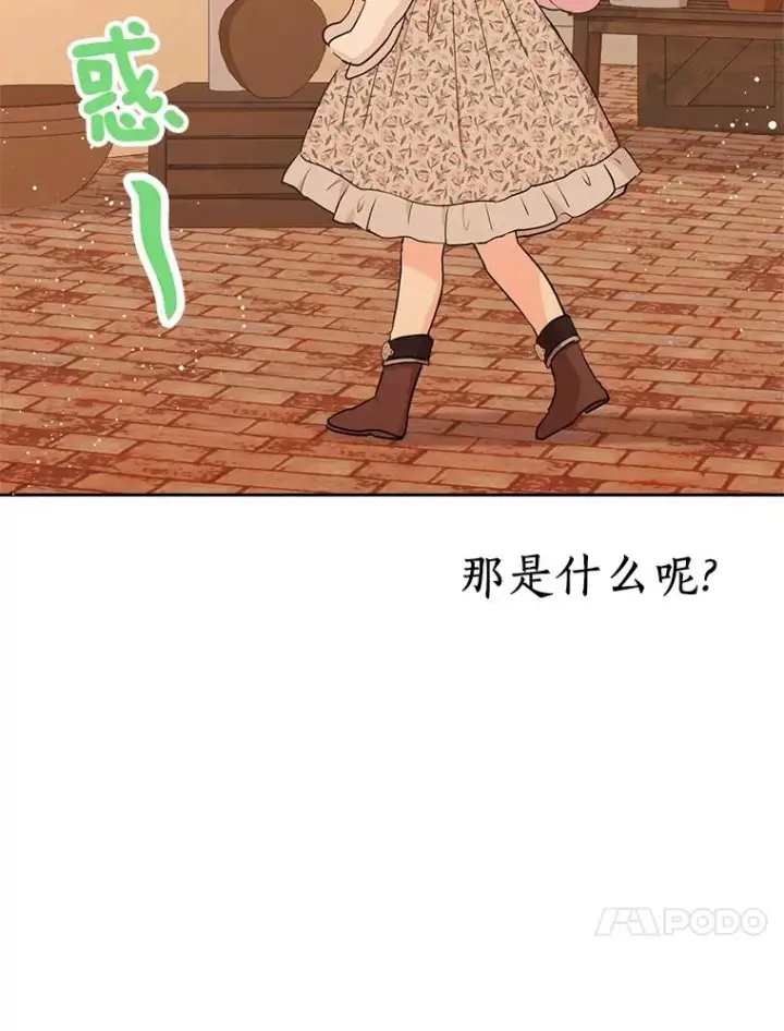 《私生公主的第十次人生》71.算命图40