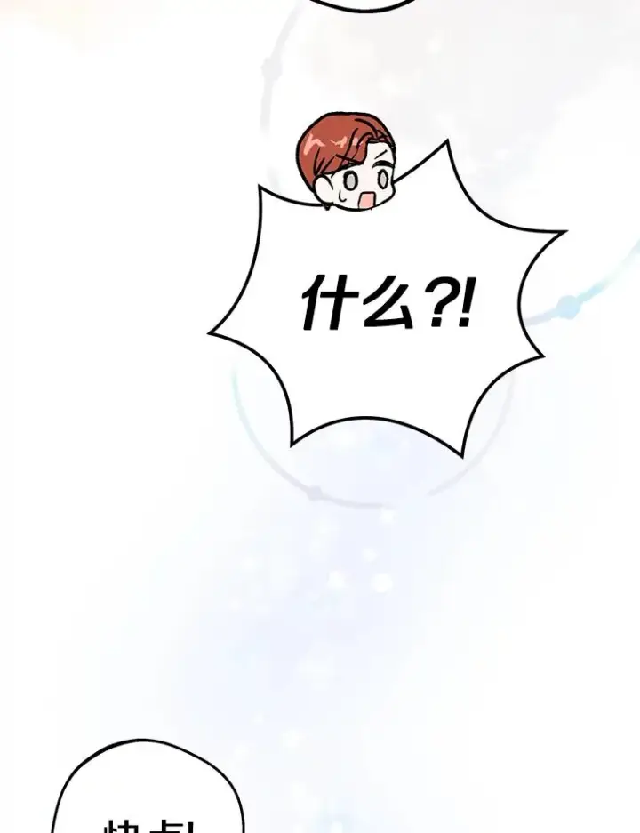 《私生公主的第十次人生》71.算命图78