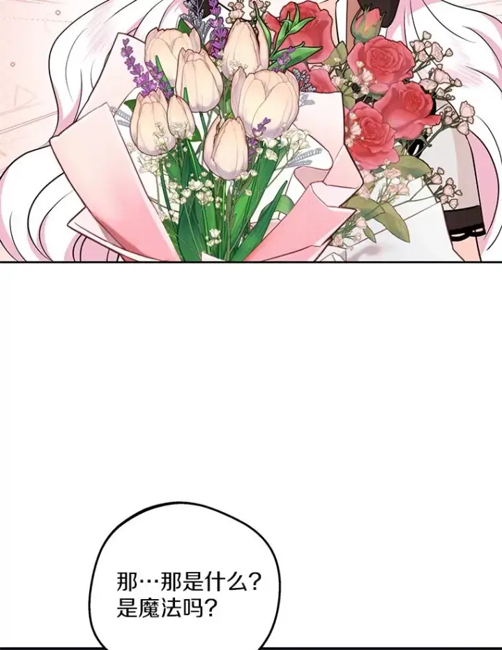 《私生公主的第十次人生》71.算命图88