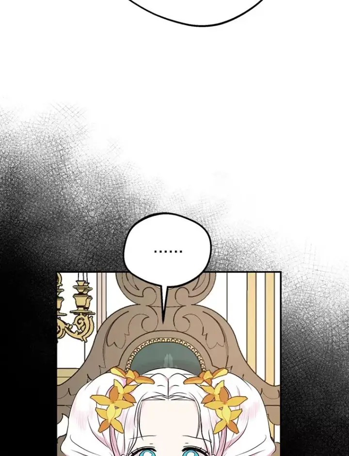 《私生公主的第十次人生》73.新计划图24