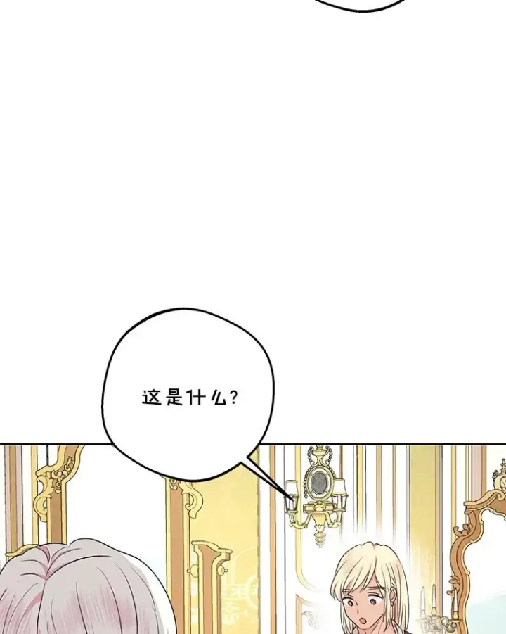 《私生公主的第十次人生》73.新计划图63