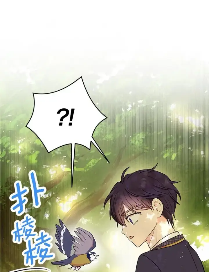 《私生公主的第十次人生》77.不可以在一起图35