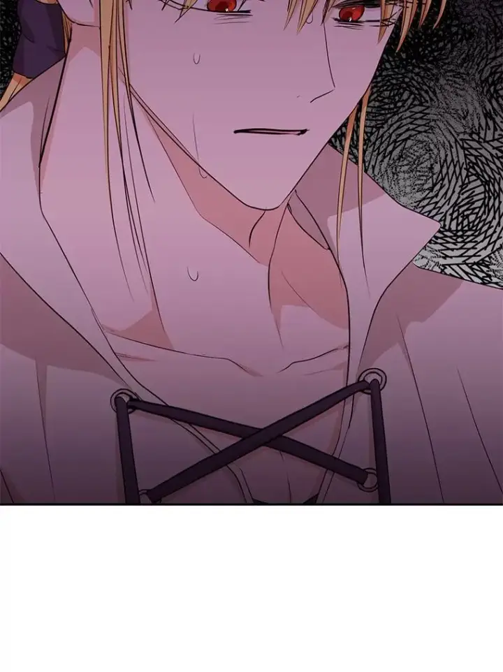 《私生公主的第十次人生》78.父亲的信图94
