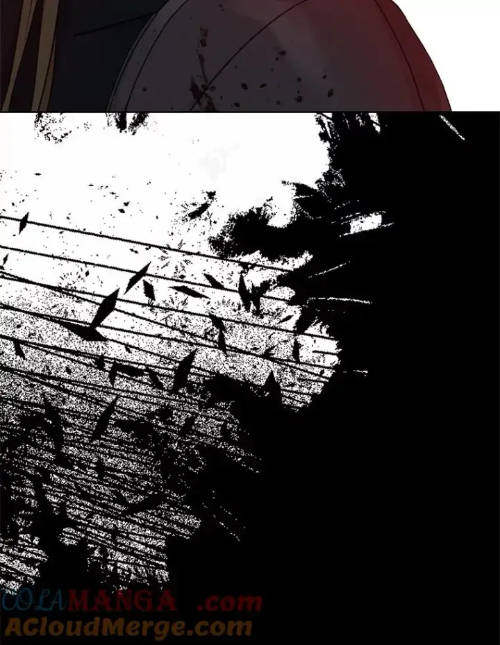 《私生公主的第十次人生》86.苏醒图61