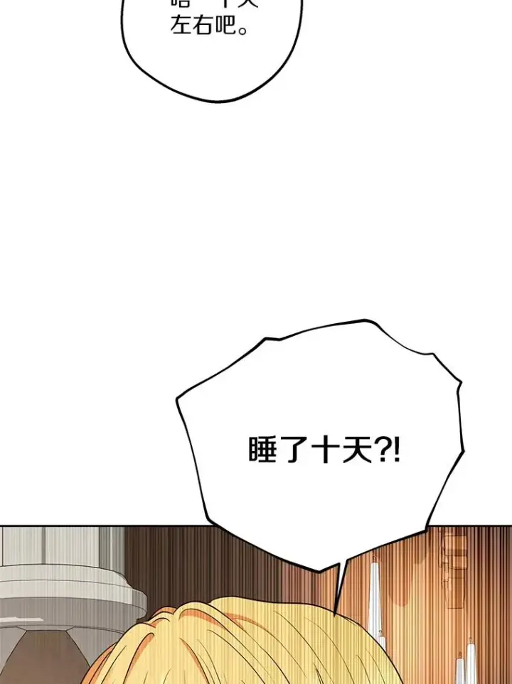 《私生公主的第十次人生》86.苏醒图74