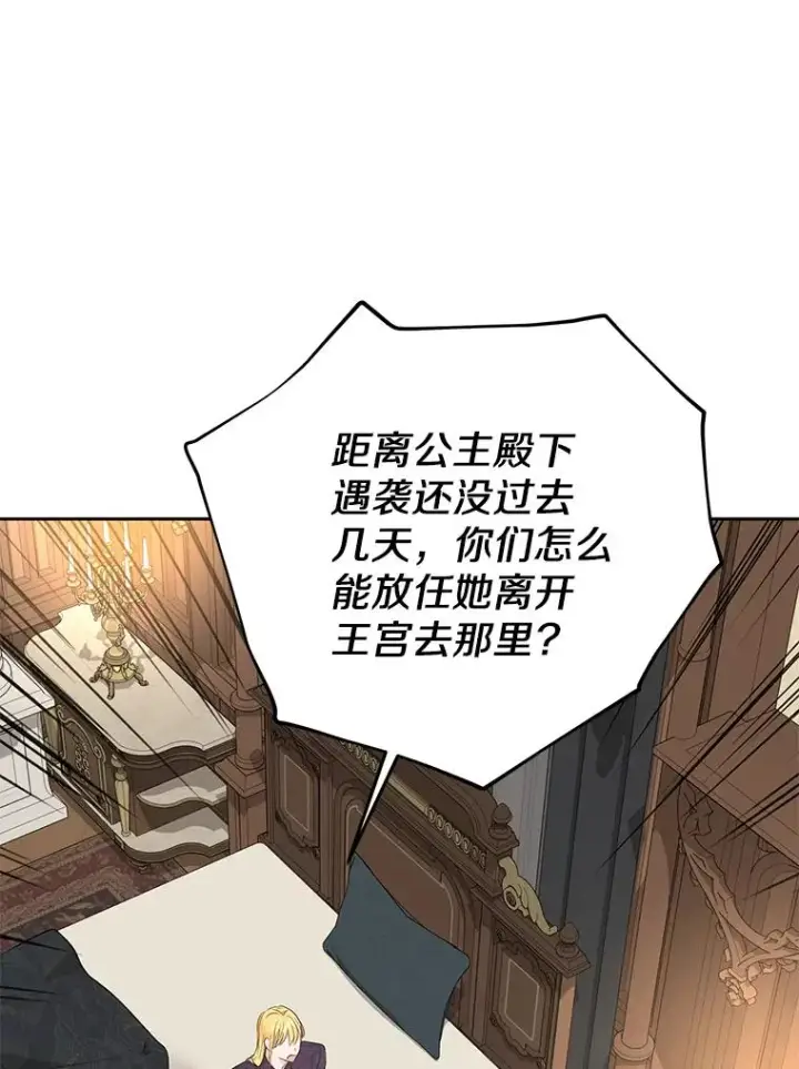 《私生公主的第十次人生》86.苏醒图80