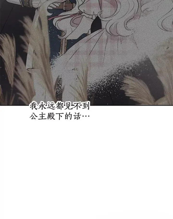 《私生公主的第十次人生》88.一定要找到她图82