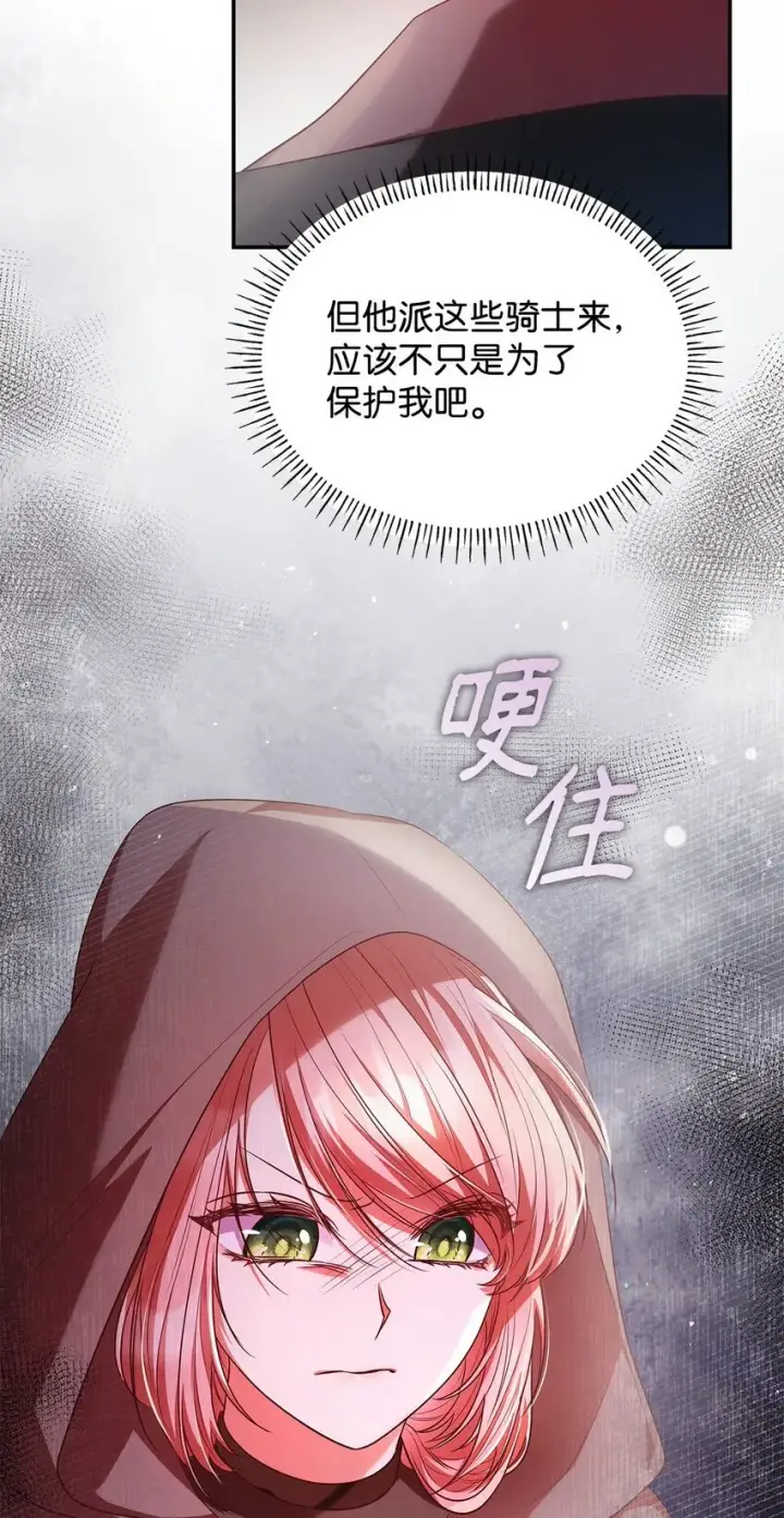 《虽然是恶女，却成为了妈妈》48 作战图33