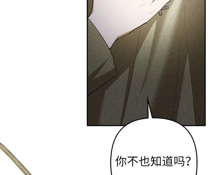 《虽然是骗子，但没关系》第44话 稀世老千图32