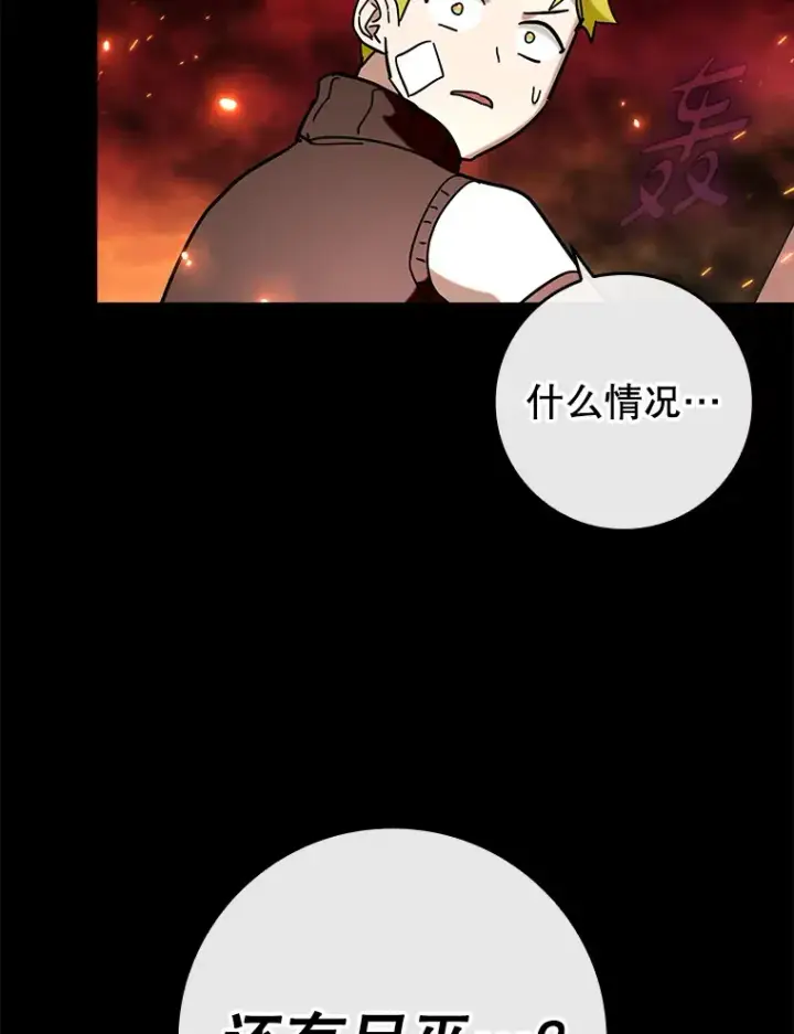 《虽是辅助，依旧带飞》43.VVIP客人图2
