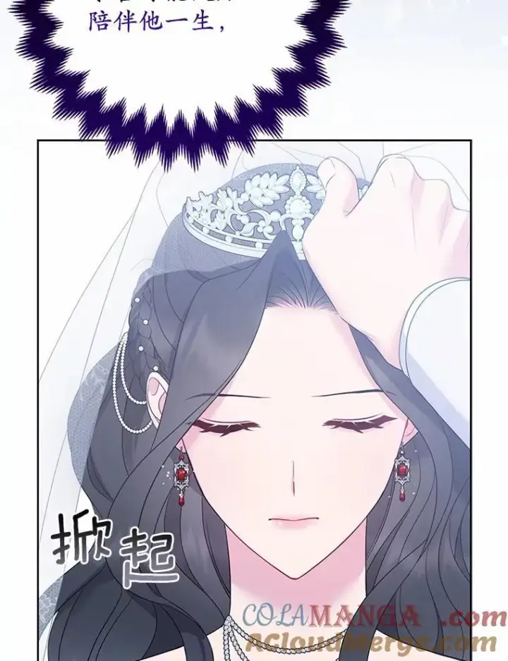 《所以我和废皇太子结婚了》6.婚礼图117