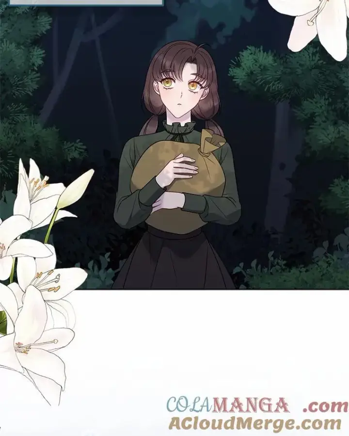 《所以我和废皇太子结婚了》11.鬼眼图105