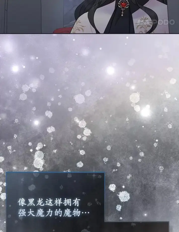 《所以我和废皇太子结婚了》13.黑龙沉睡之处图96
