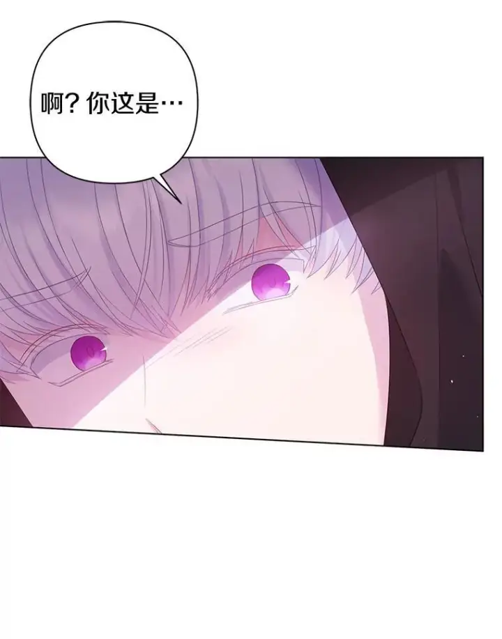 《所以我和废皇太子结婚了》23.流浪舞姬图102