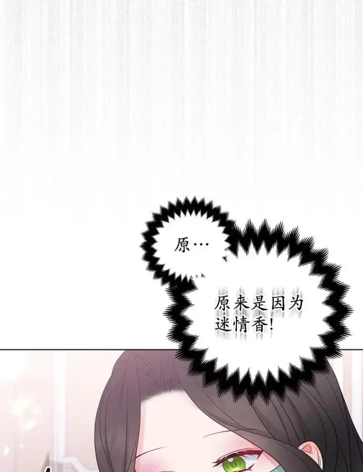 《所以我和废皇太子结婚了》24.迷情香图58