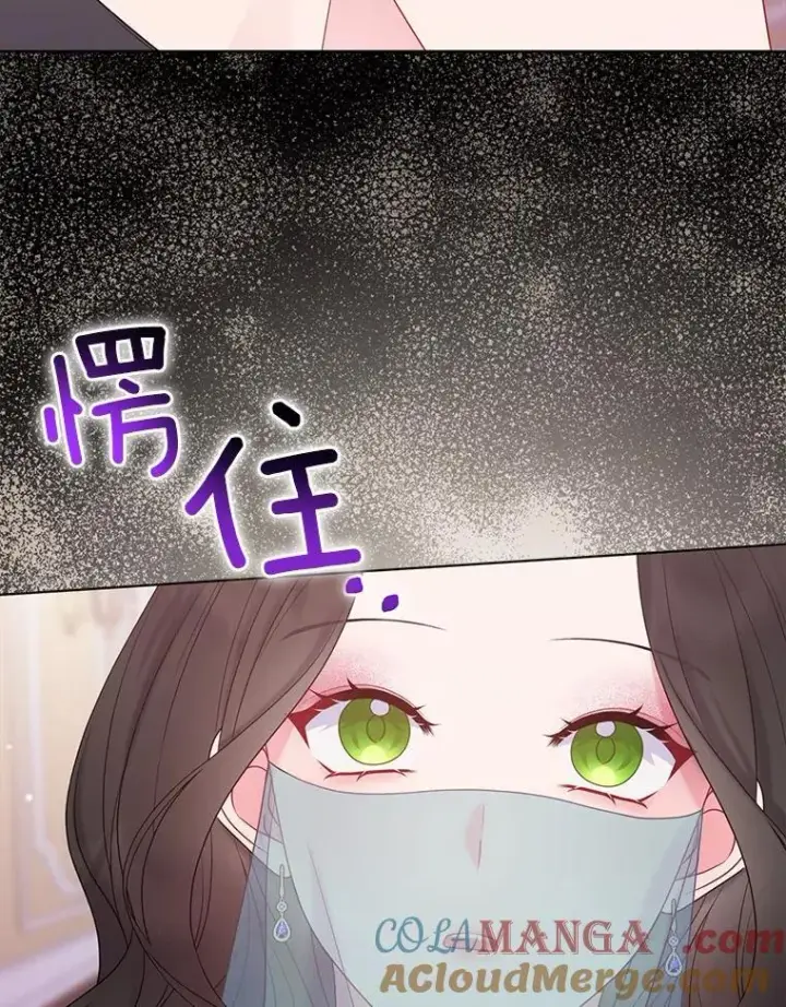 《所以我和废皇太子结婚了》24.迷情香图73