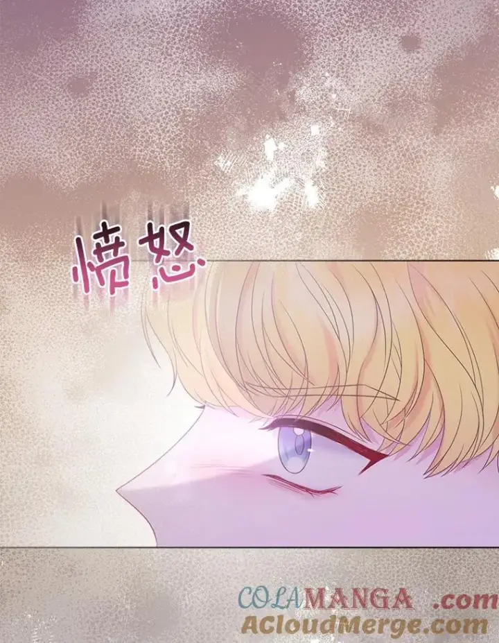 《所以我和废皇太子结婚了》25.传说中的三皇子图109