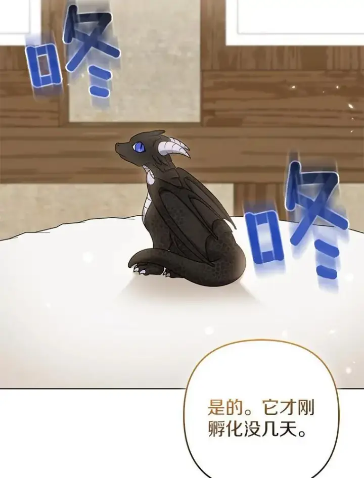 《所以我和废皇太子结婚了》38.天才炼金术士图82