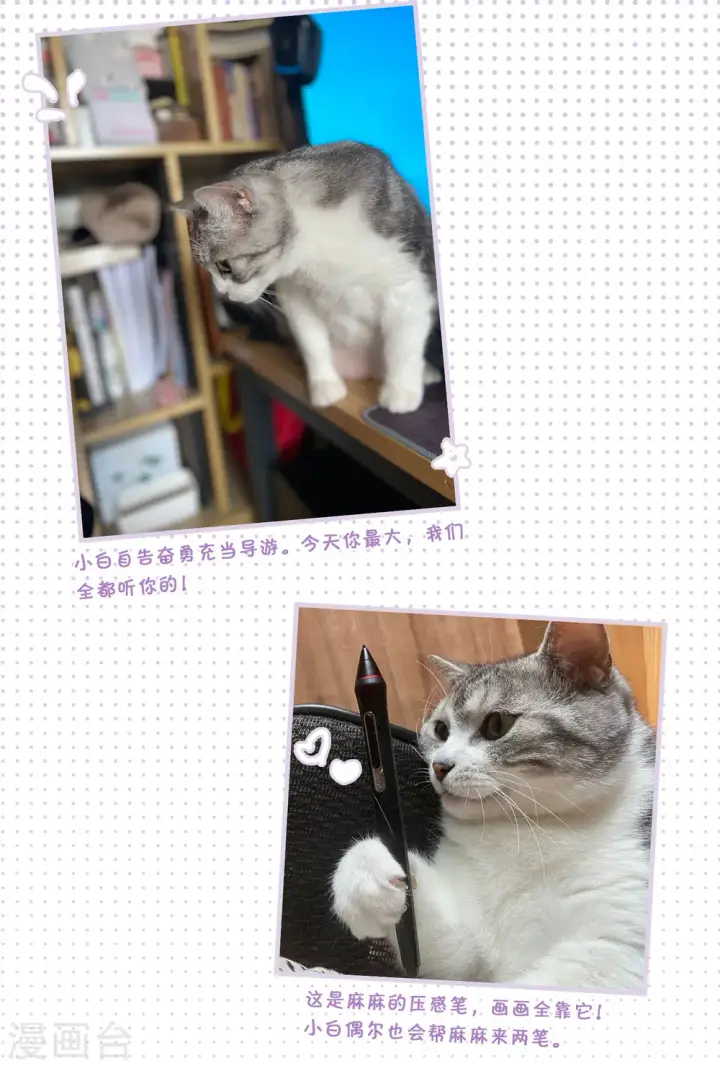 《她来了，请趴下》一周年活动3图6