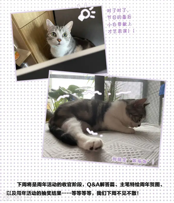 《她来了，请趴下》一周年活动3图9