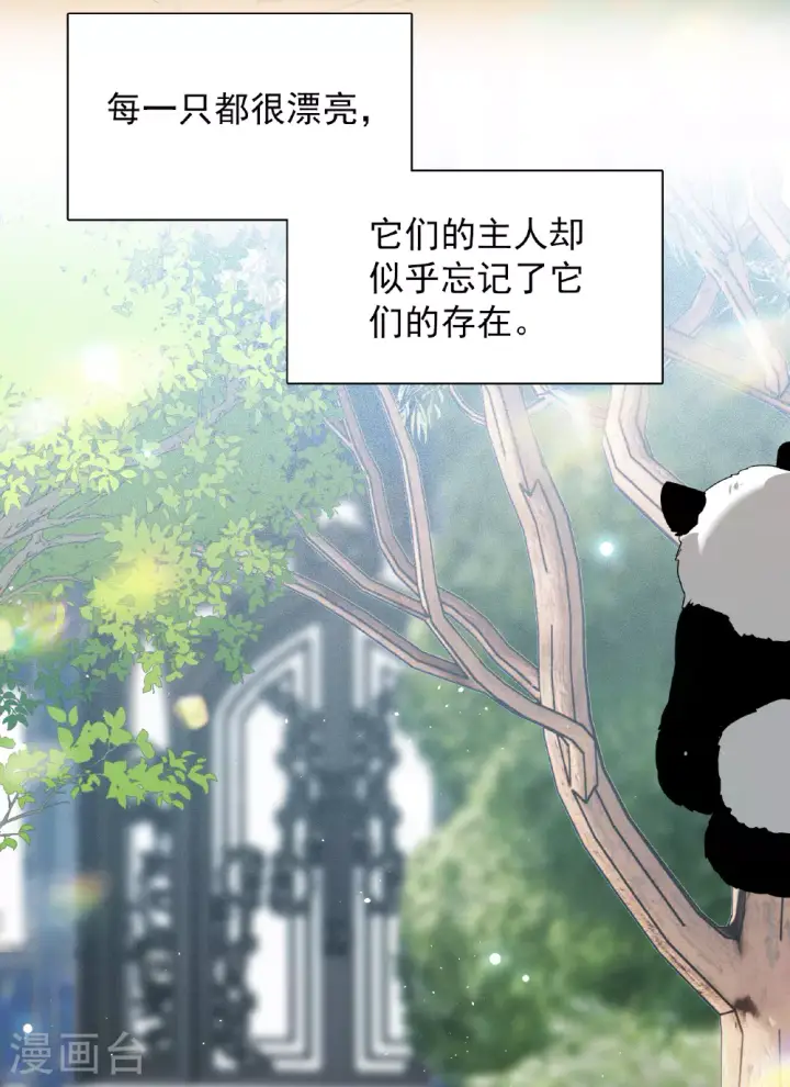 《她来了，请趴下》特别番外6图12