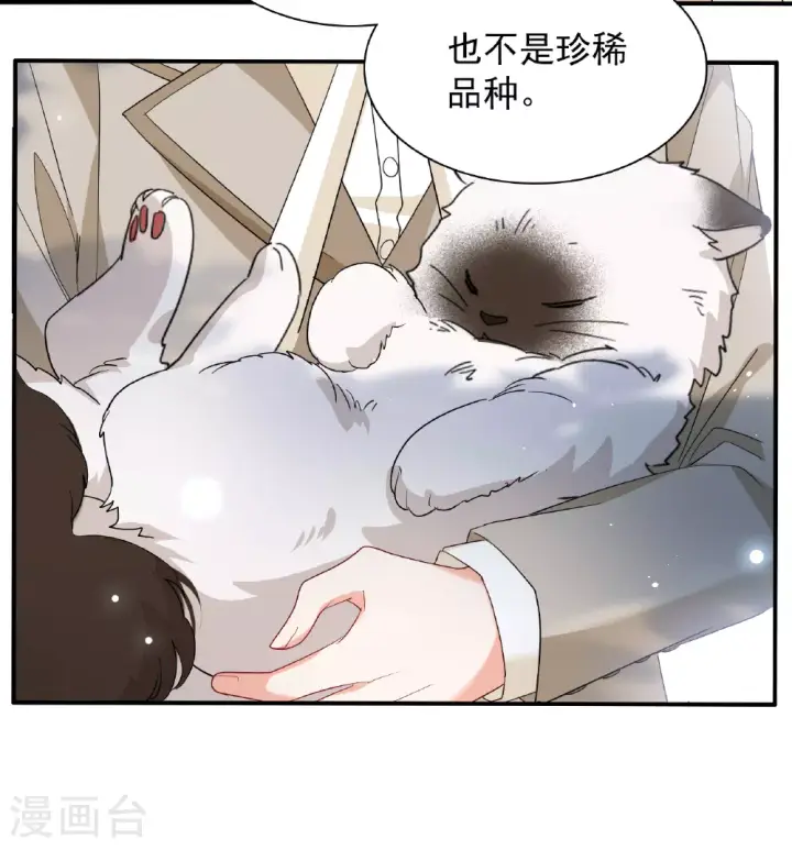 《她来了，请趴下》特别番外6图5