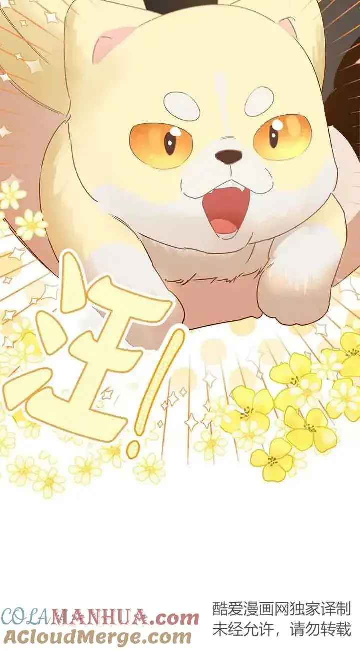 《挑选丈夫时要慎重》第31话图13