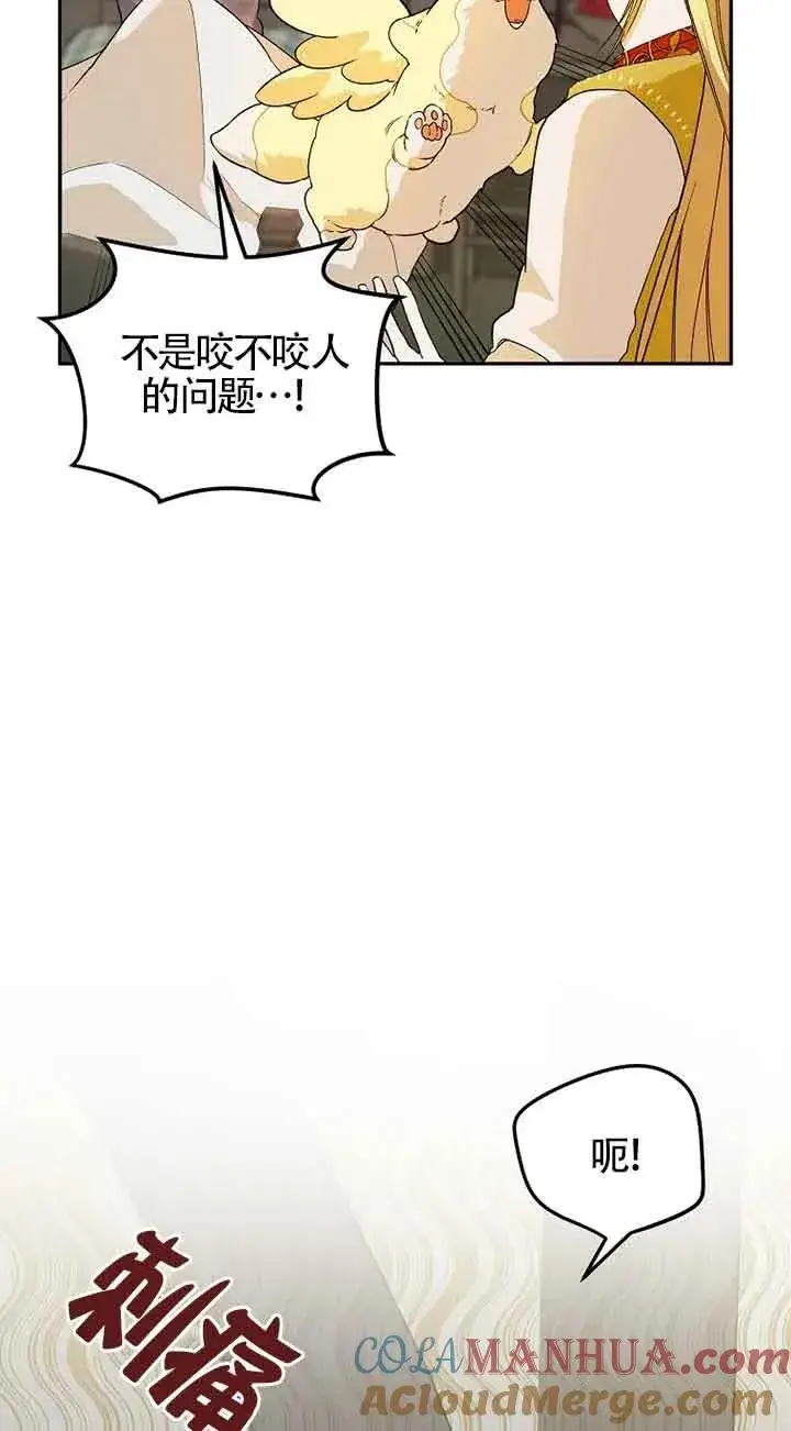 《挑选丈夫时要慎重》第37话图13