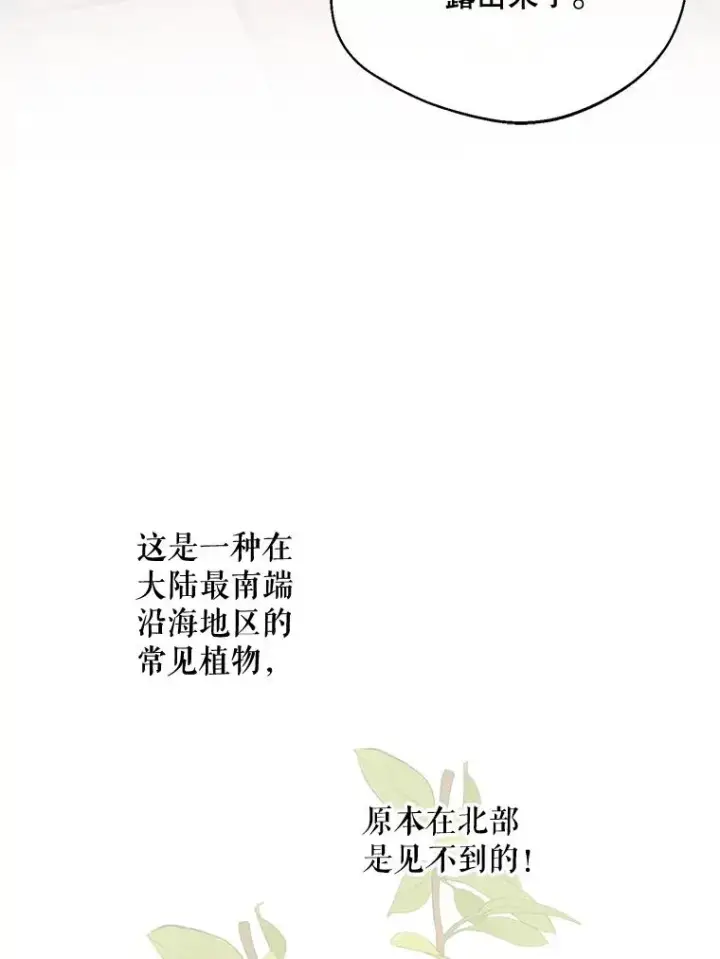 《挑选丈夫时要慎重》44.卖香草图44