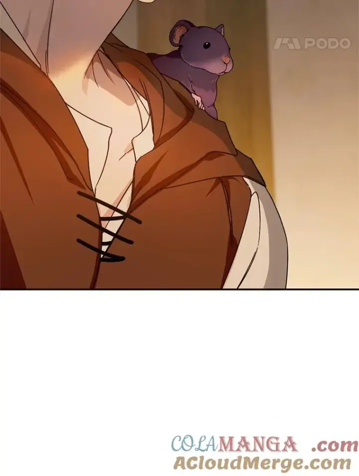 《挑选丈夫时要慎重》52.偶遇魔法师图41