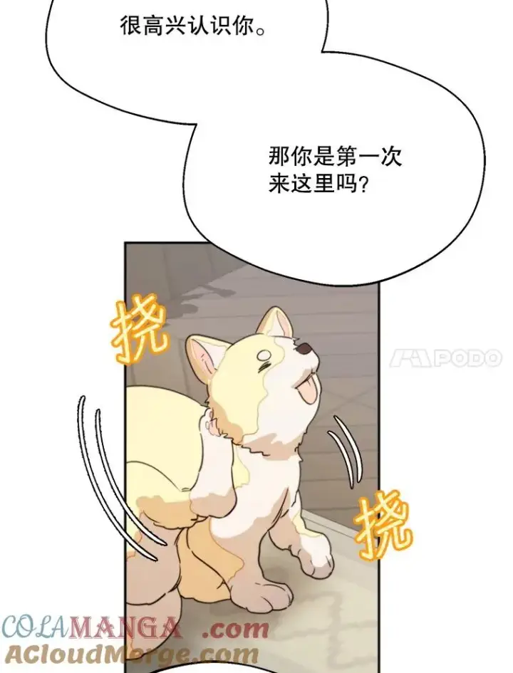 《挑选丈夫时要慎重》58.夏日庆典图105