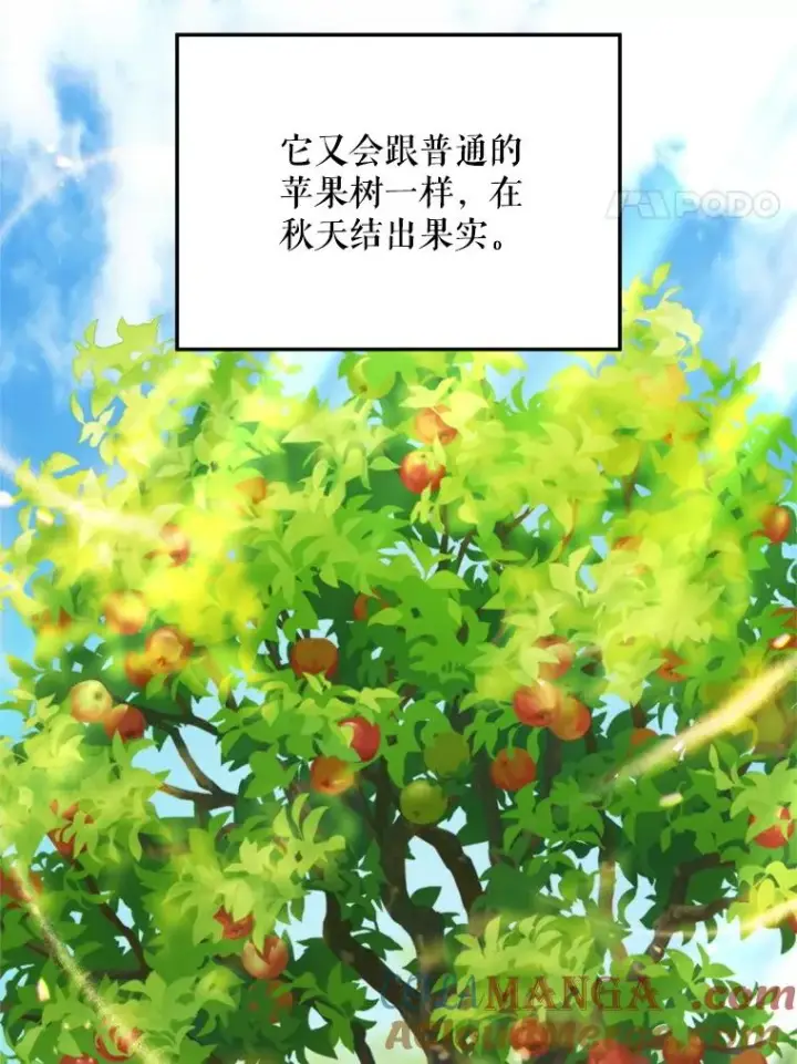 《挑选丈夫时要慎重》58.夏日庆典图37