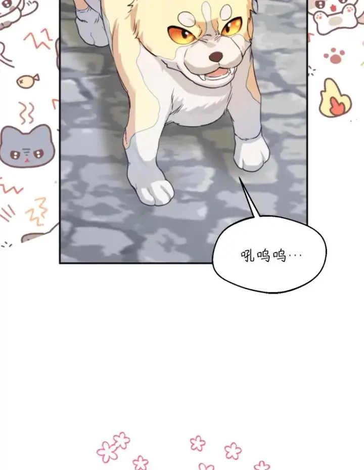 《挑选丈夫时要慎重》59.她是我的妻子图83