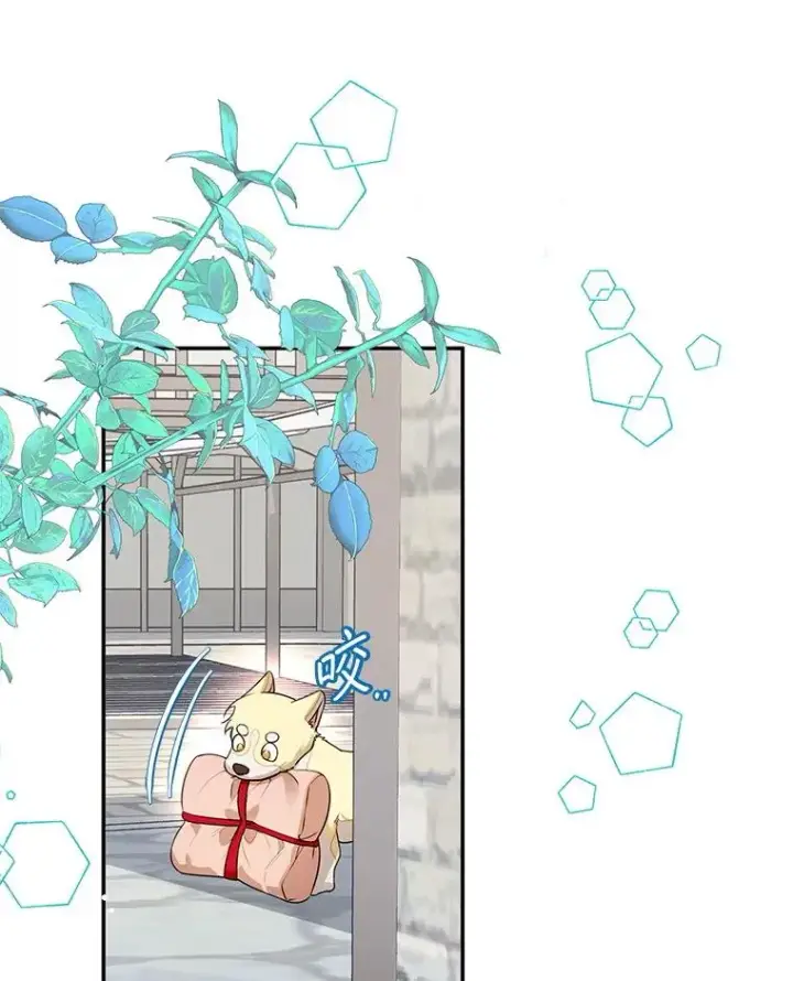 《挑选丈夫时要慎重》66.艾罗兹喝醉图20