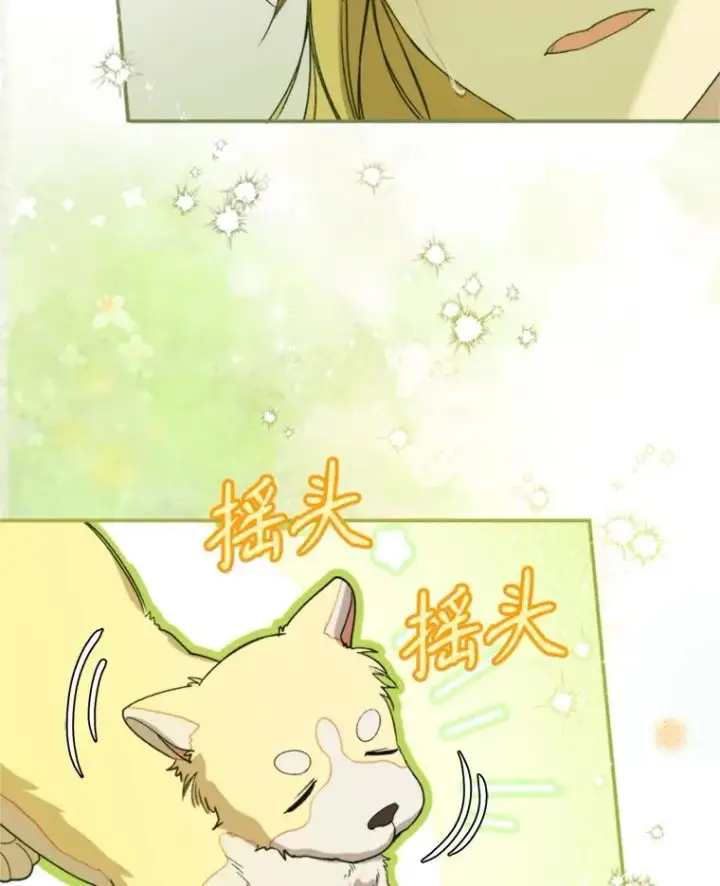 《挑选丈夫时要慎重》71.尼亚哈尔蒂图19
