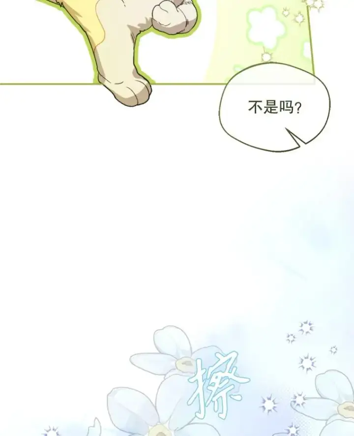 《挑选丈夫时要慎重》71.尼亚哈尔蒂图20