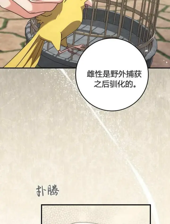 《听丈夫的话包养情夫》第36话图47