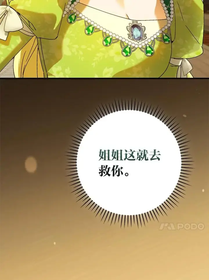 《童话里反派的完美结局》93.声东击西图100