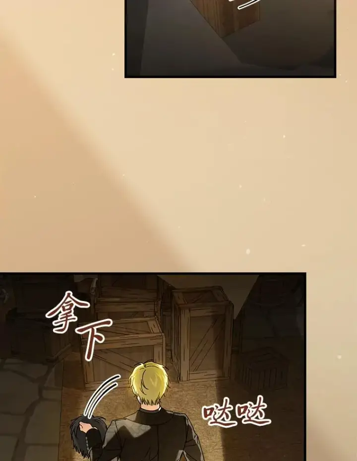 《童话里反派的完美结局》93.声东击西图55