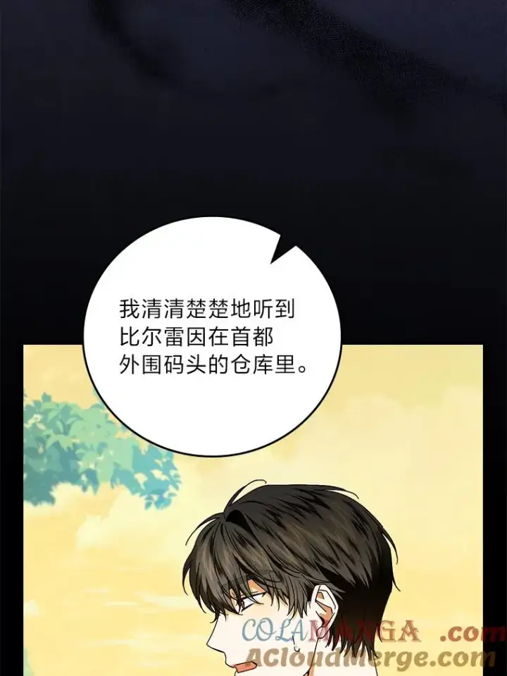 《童话里反派的完美结局》93.声东击西图85