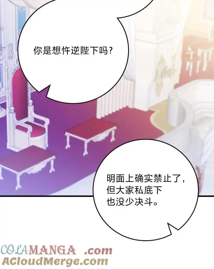 《童话里反派的完美结局》100.护妻决斗图93