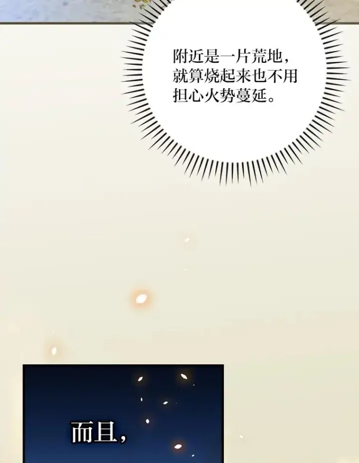 《童话里反派的完美结局》106.烧光过往图40