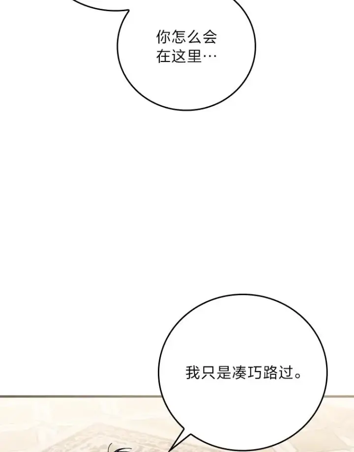 《童话里反派的完美结局》115.利夏尔的故事图39