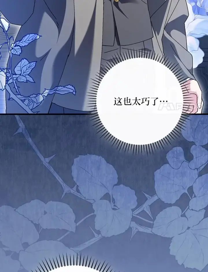 《童话里反派的完美结局》115.利夏尔的故事图95